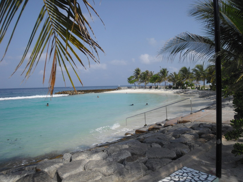 MaleBeach.jpg